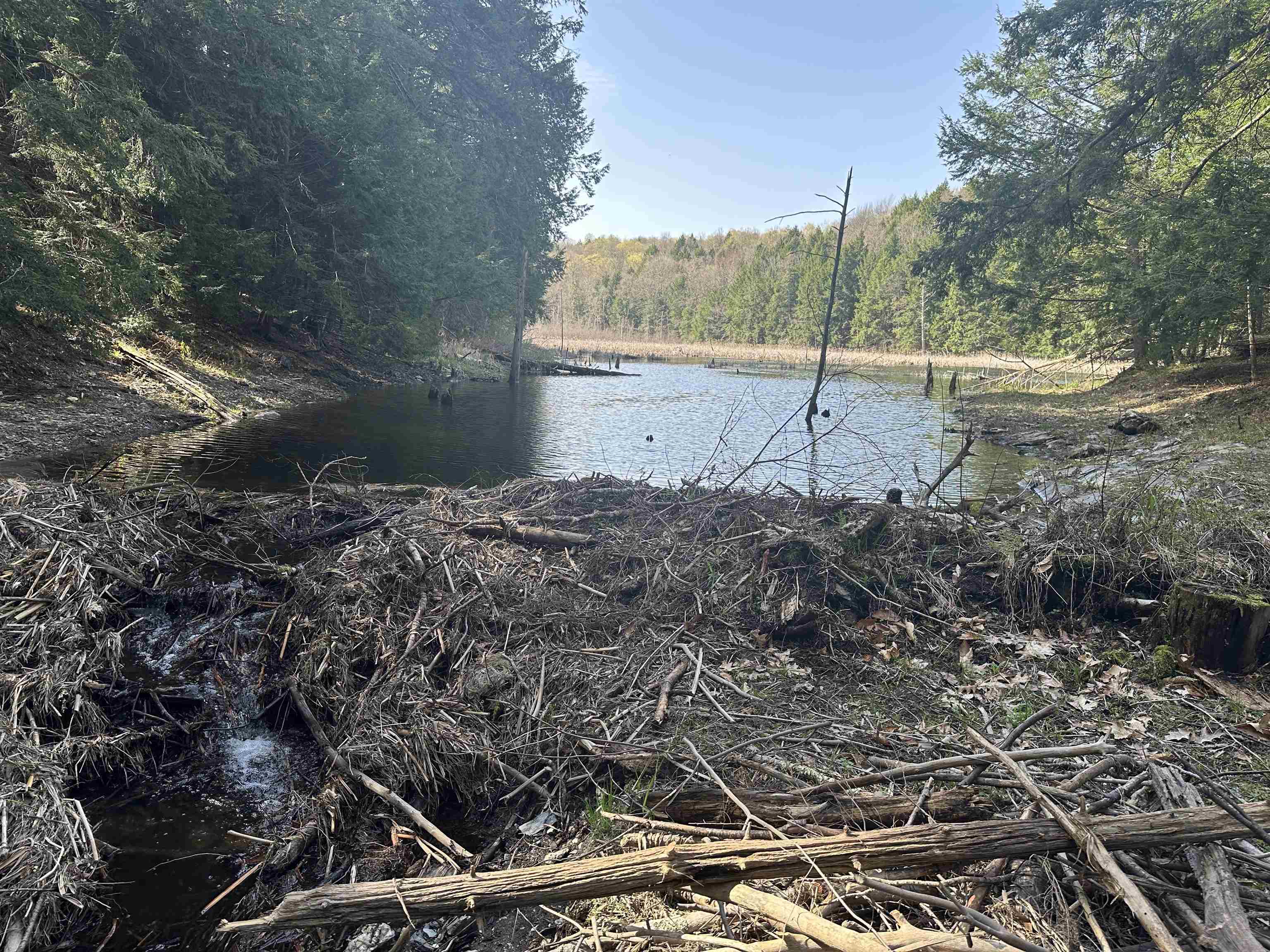 603 Anderson Drive Hubbardton, VT 05743 - Photo 42 of 60
