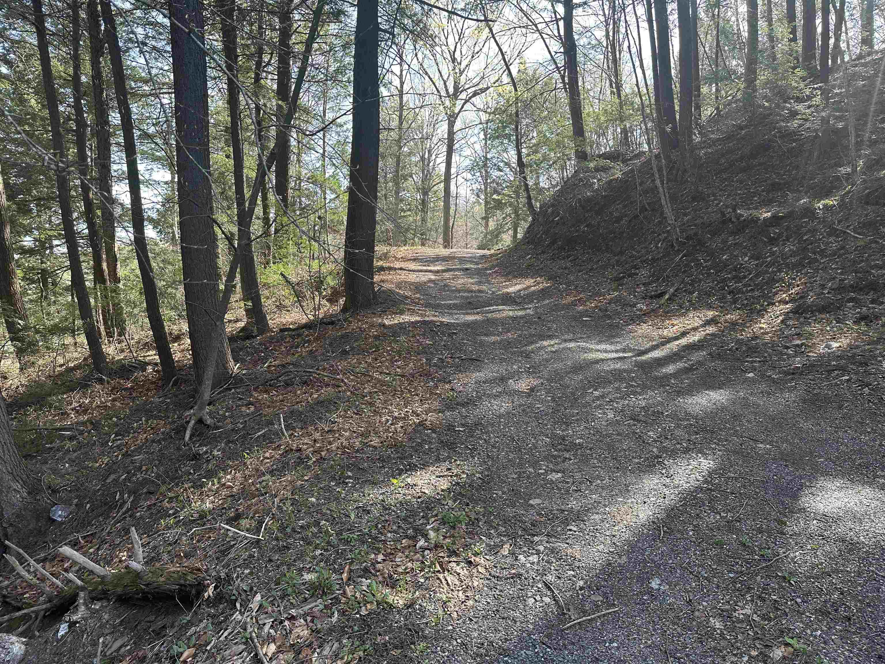 603 Anderson Drive Hubbardton, VT 05743 - Photo 44 of 60