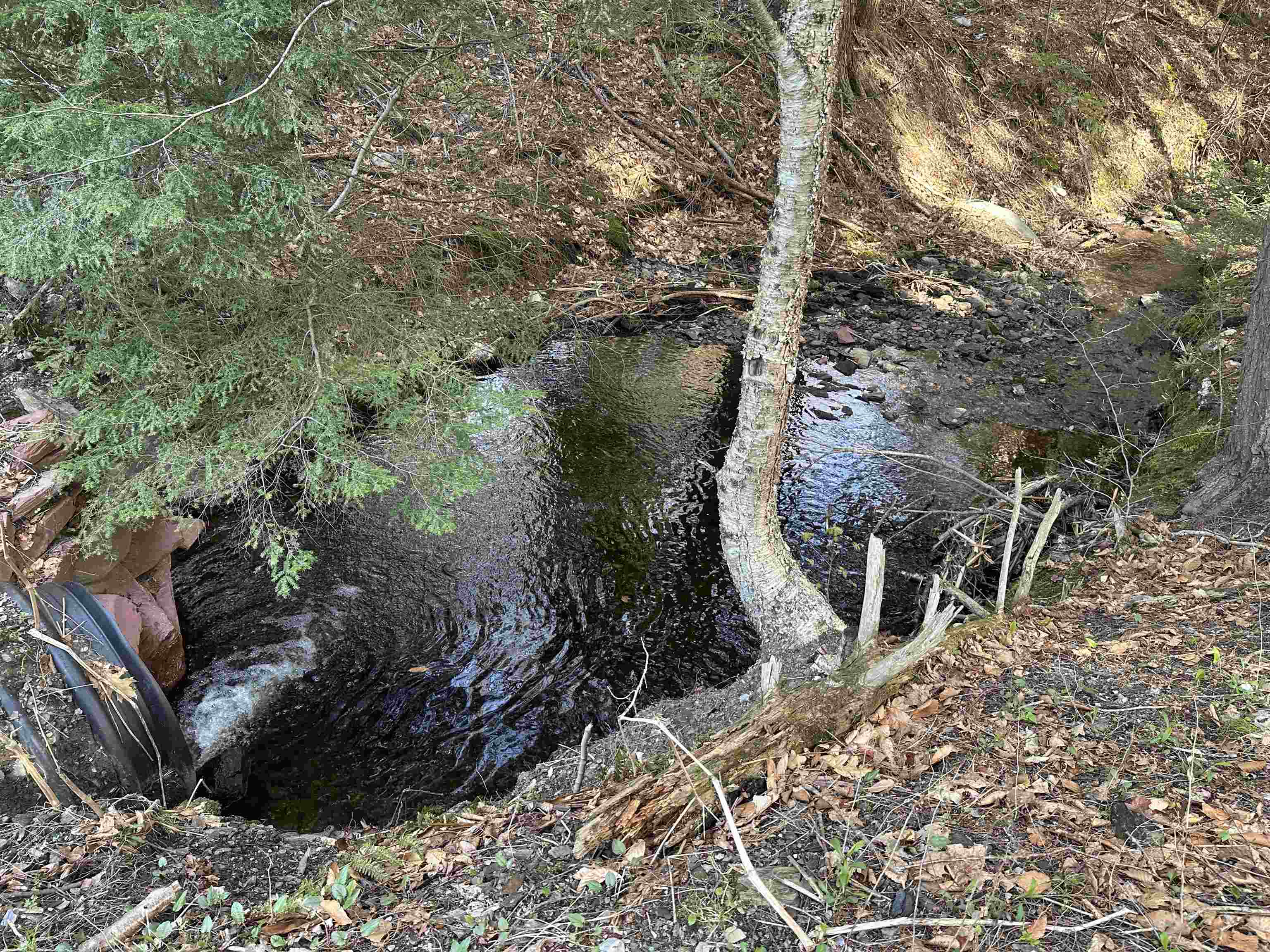 603 Anderson Drive Hubbardton, VT 05743 - Photo 45 of 60