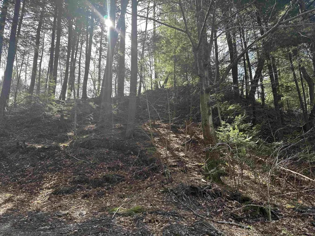 $750,000 | 603 Anderson Drive, Hubbardton, VT 05743