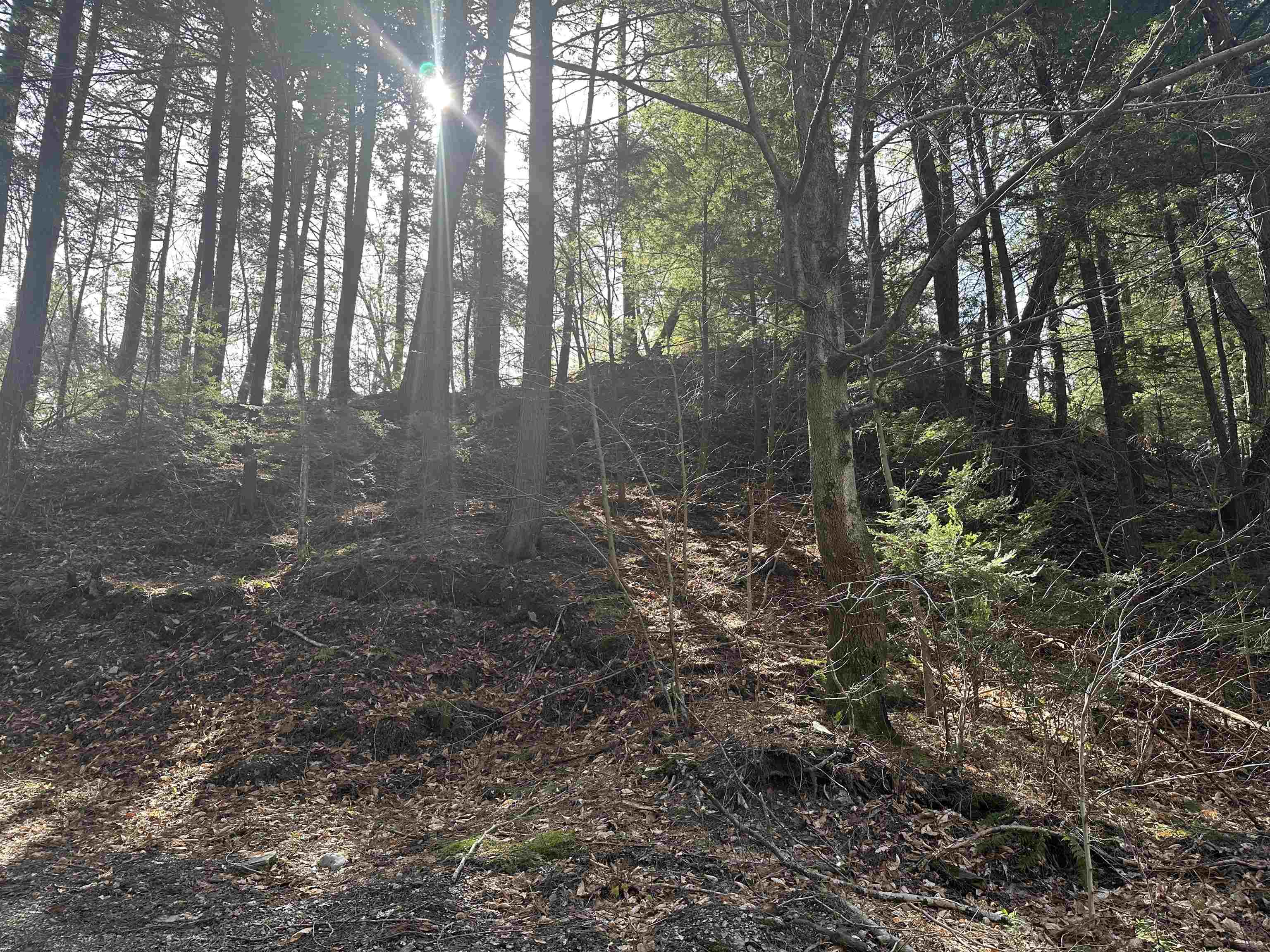 603 Anderson Drive Hubbardton, VT 05743 - Photo 46 of 60