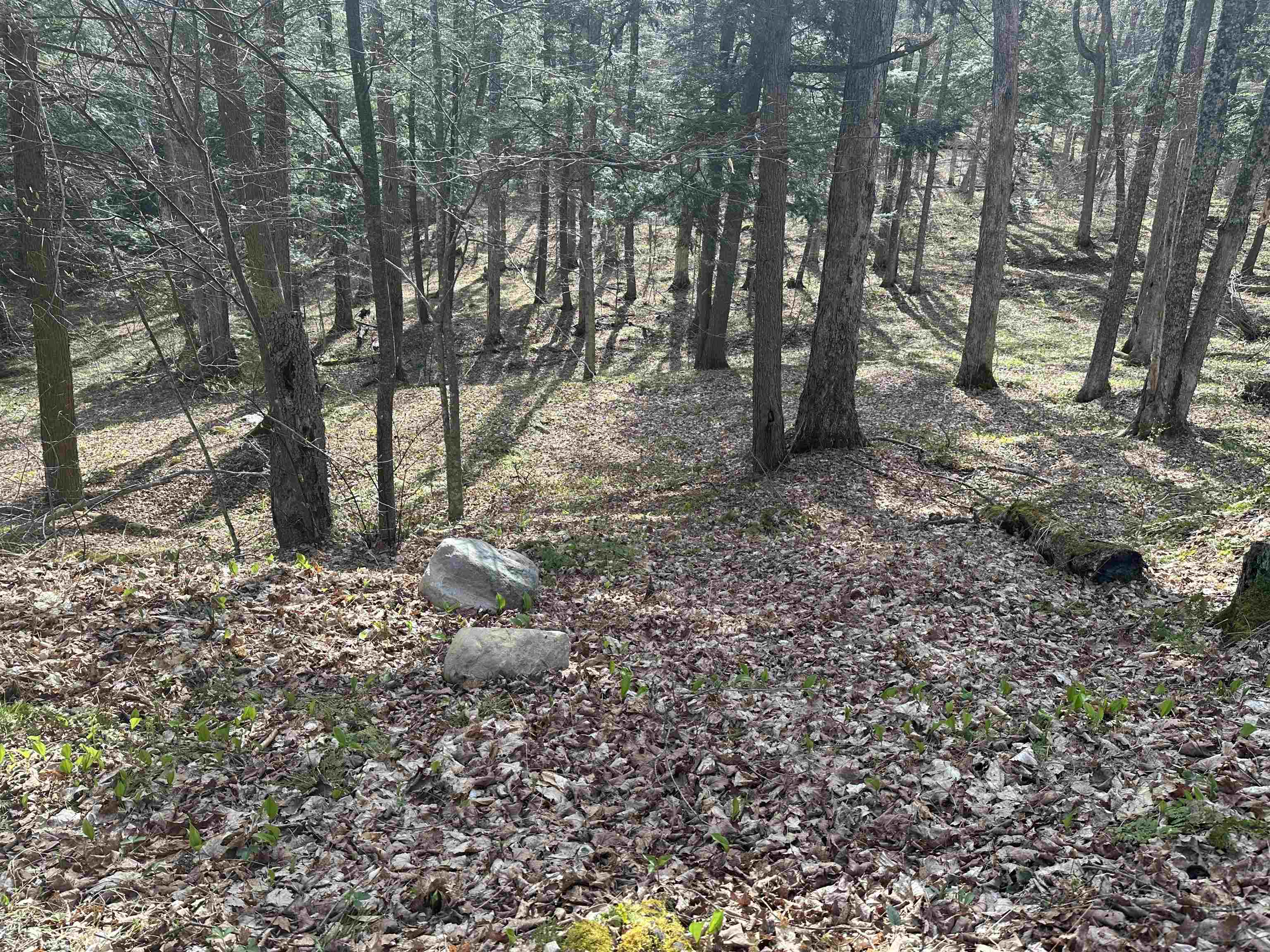 603 Anderson Drive Hubbardton, VT 05743 - Photo 48 of 60