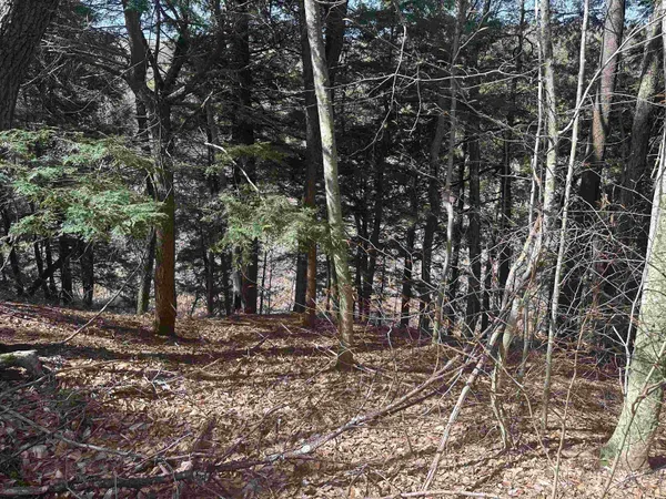 $750,000 | 603 Anderson Drive, Hubbardton, VT 05743