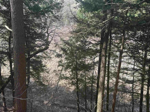$750,000 | 603 Anderson Drive, Hubbardton, VT 05743