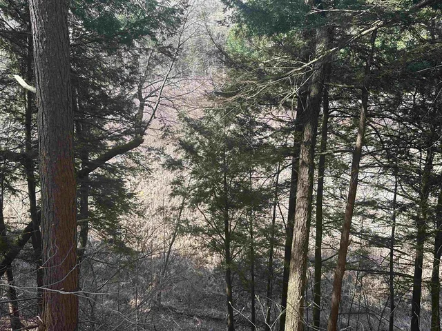 $750,000 | 603 Anderson Drive, Hubbardton, VT 05743