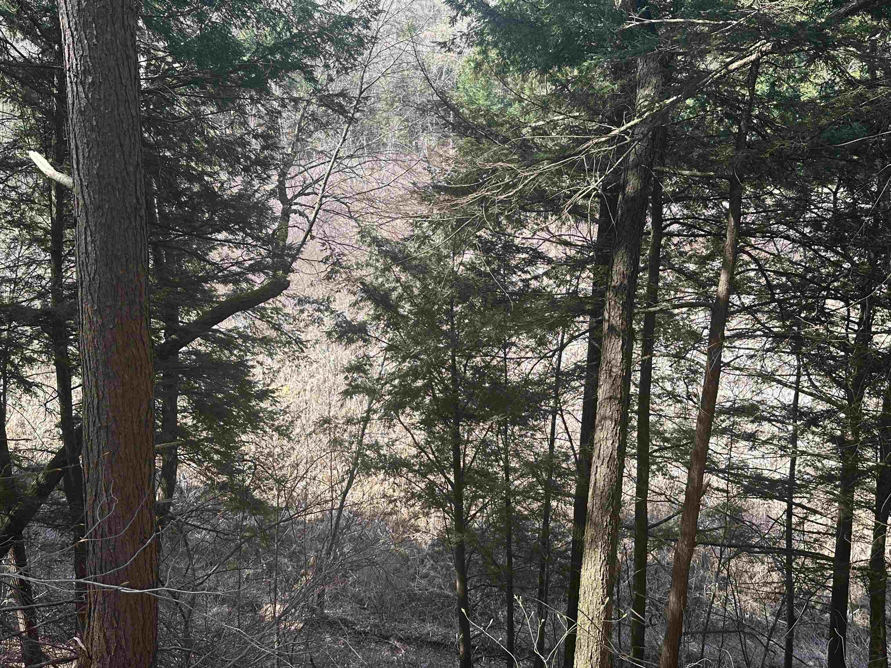 603 Anderson Drive Hubbardton, VT 05743 - Photo 50 of 60