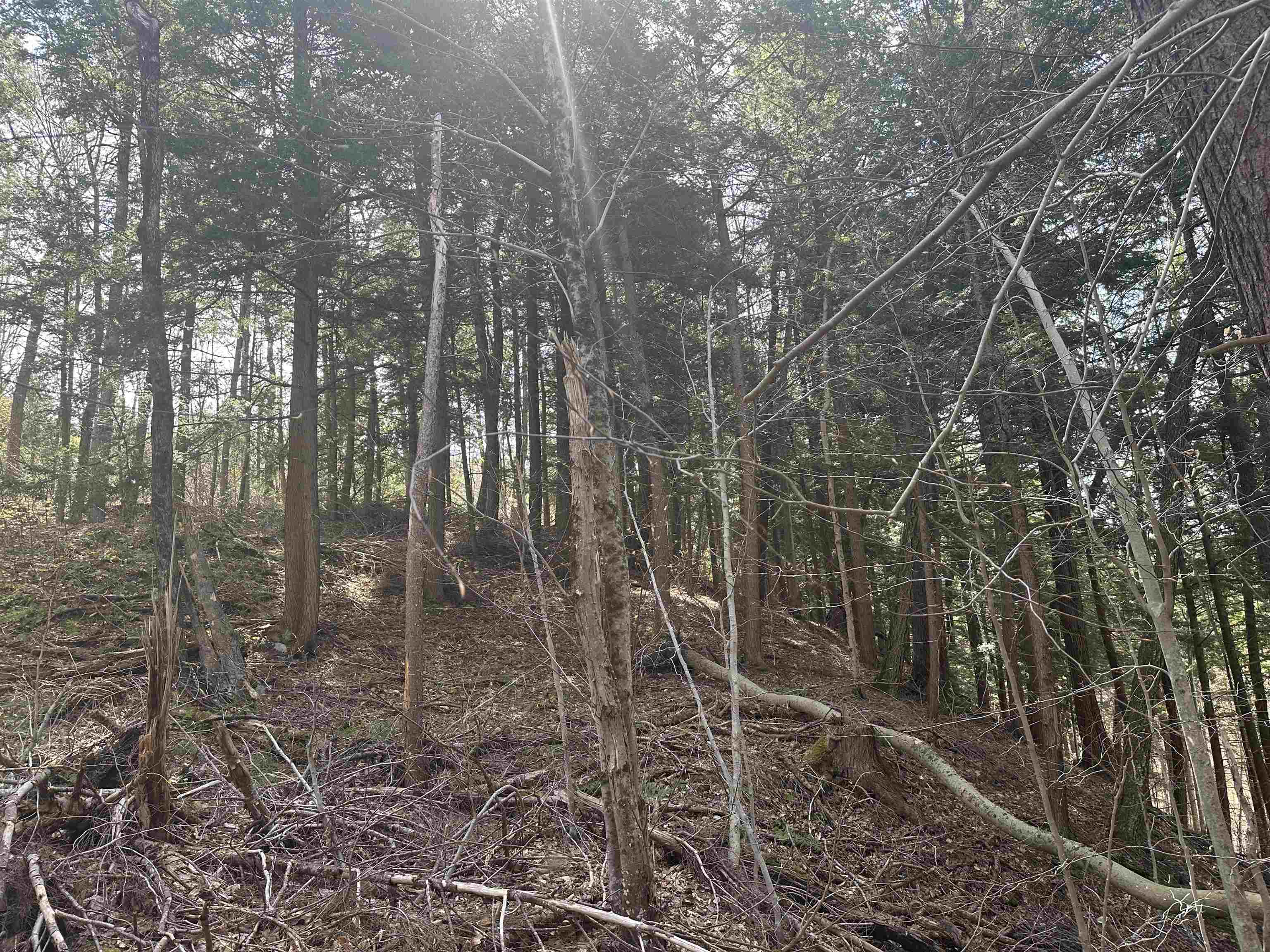 603 Anderson Drive Hubbardton, VT 05743 - Photo 51 of 60