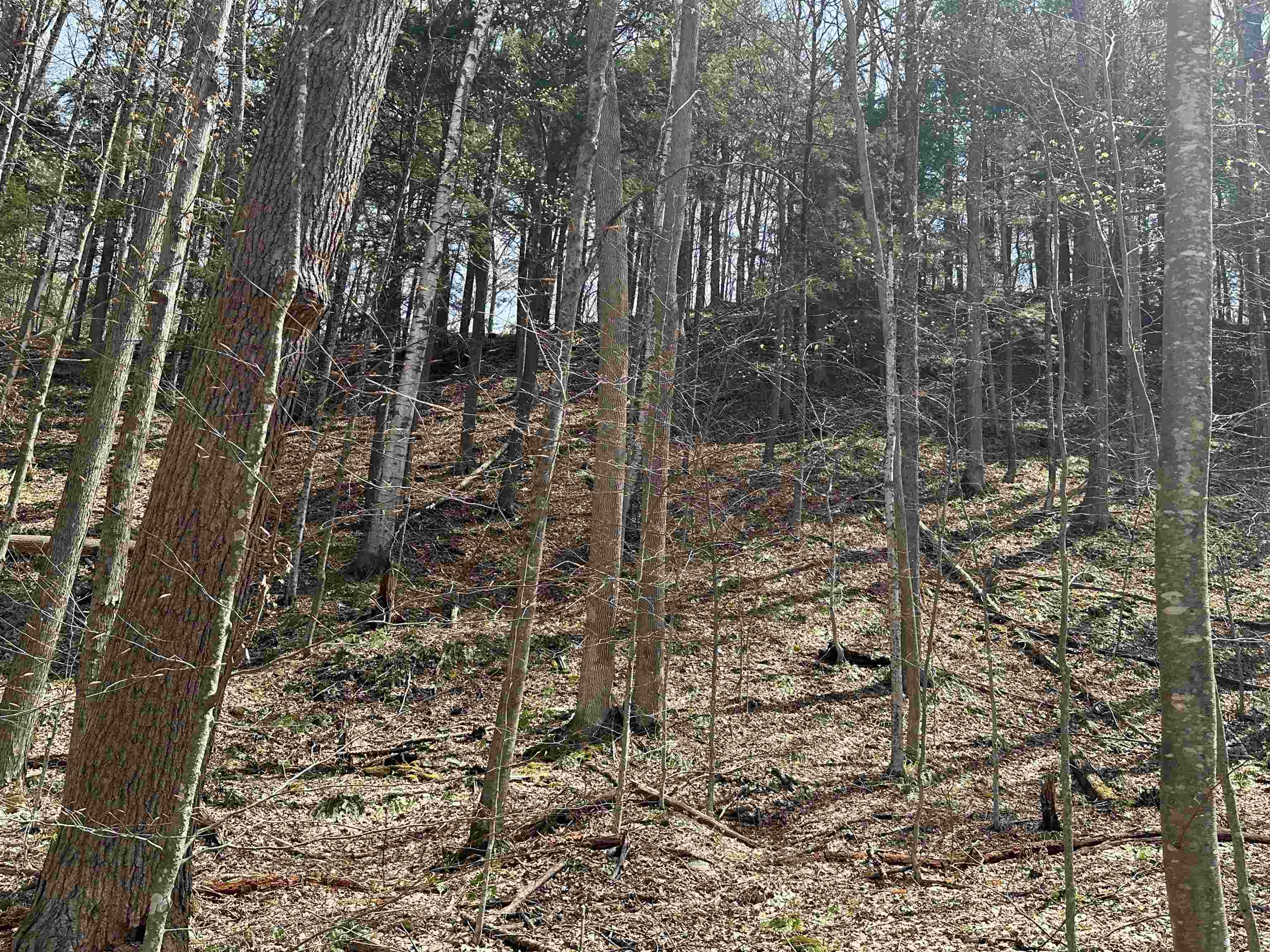 603 Anderson Drive Hubbardton, VT 05743 - Photo 52 of 60