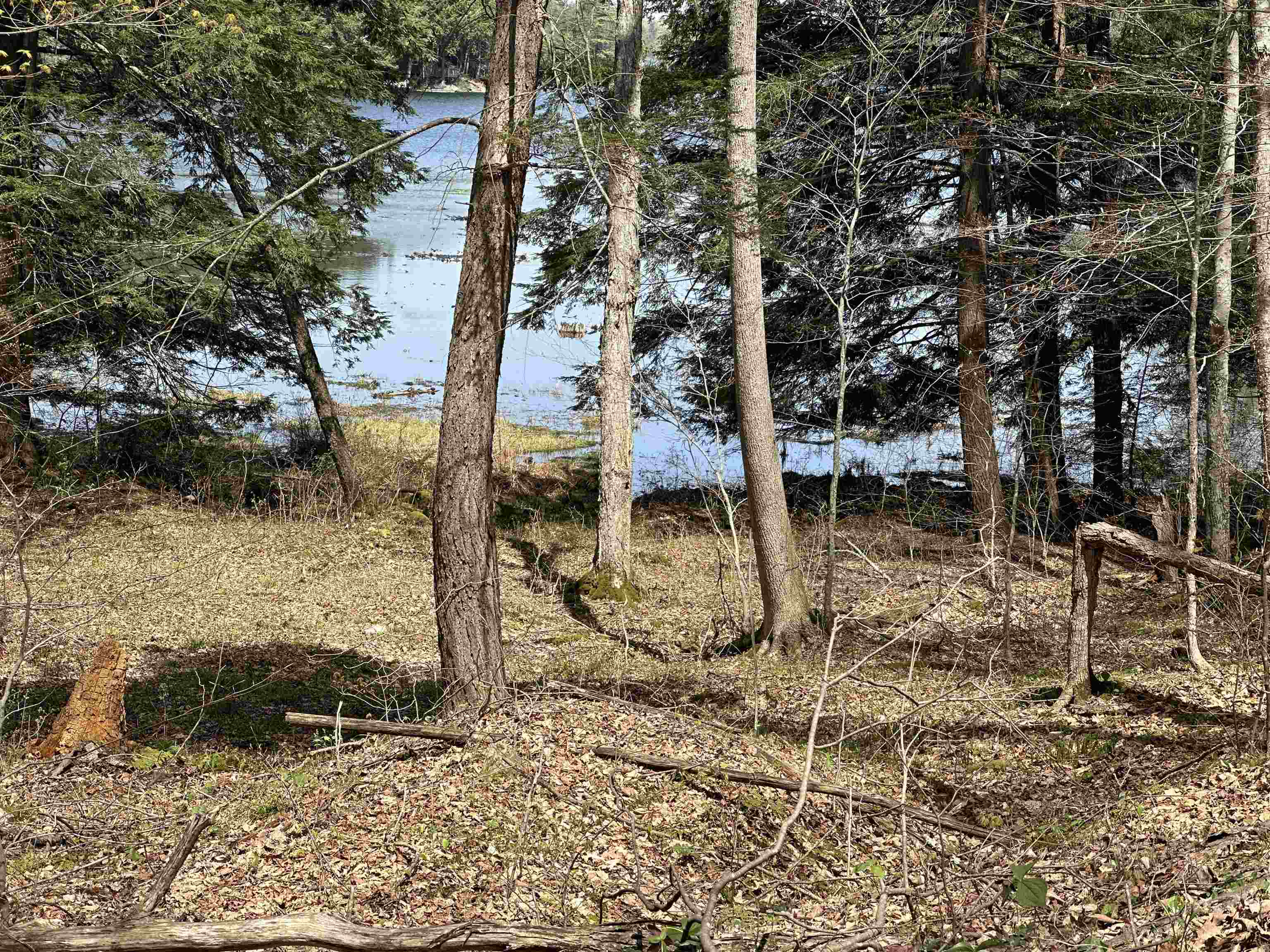 603 Anderson Drive Hubbardton, VT 05743 - Photo 53 of 60