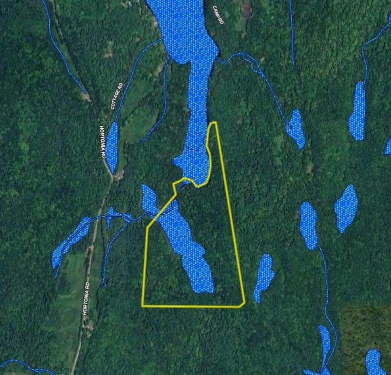 603 Anderson Drive Hubbardton, VT 05743 - Photo 60 of 60