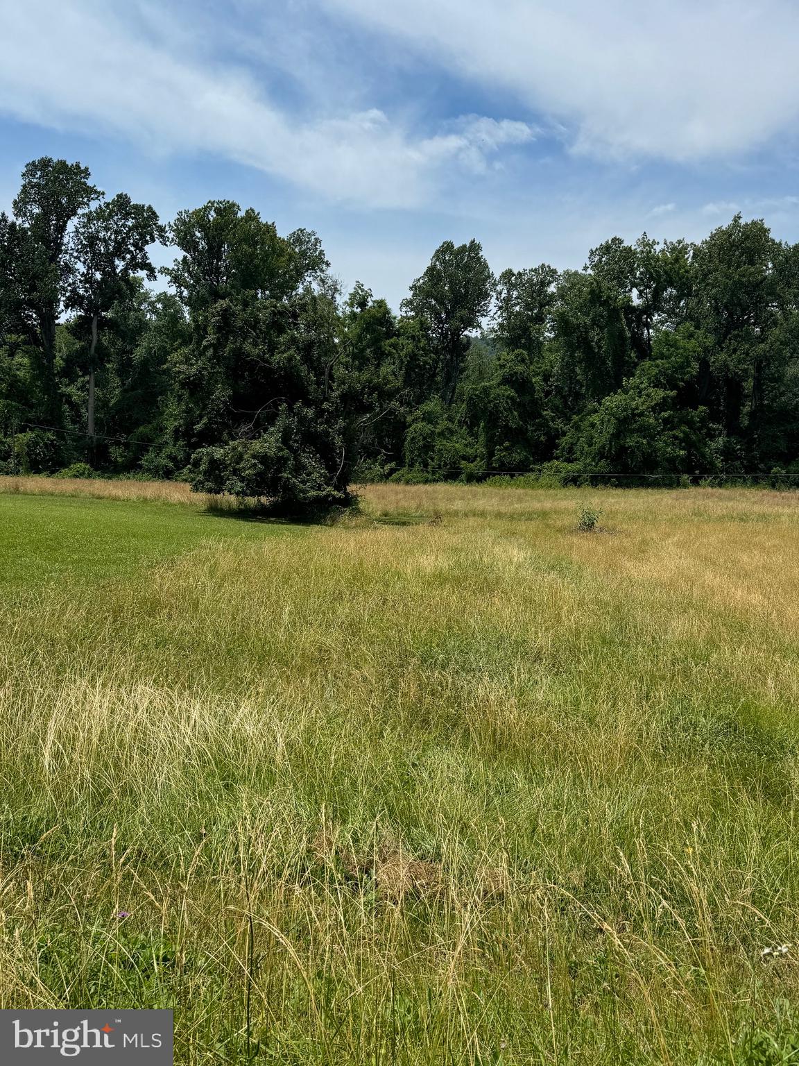 0 O'Bannon Road The Plains, VA 20198 - Photo 2 of 3 a view of a field with an trees