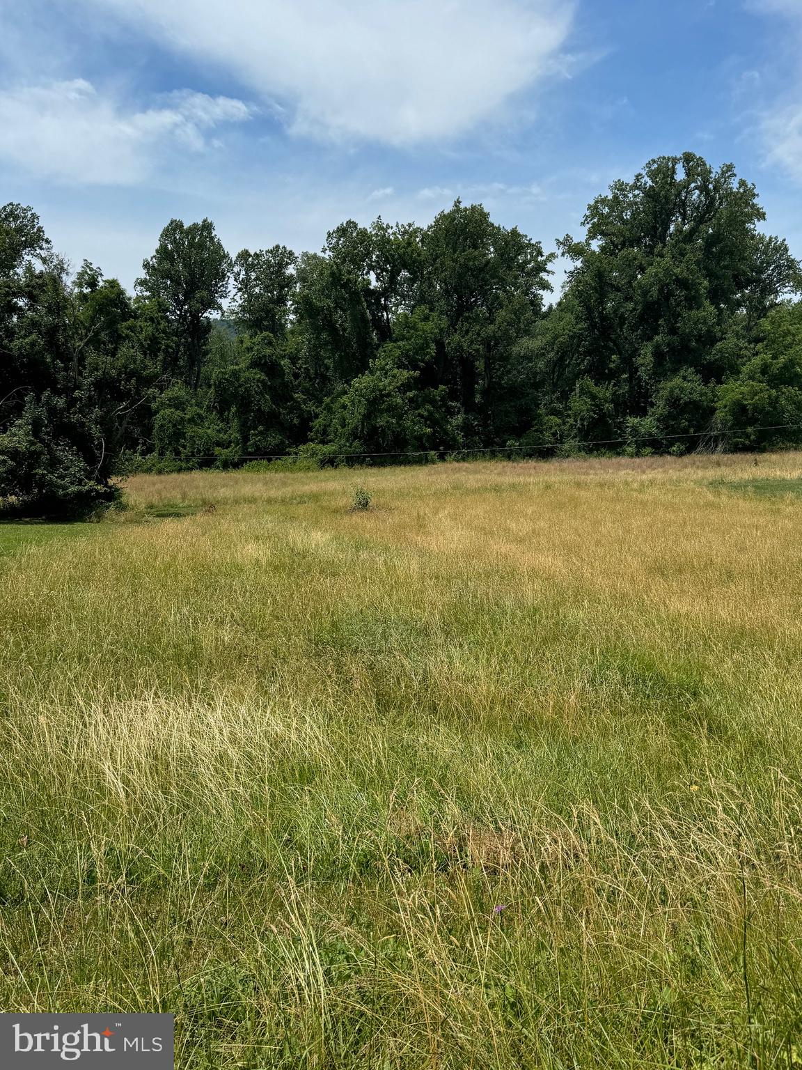 0 O'Bannon Road The Plains, VA 20198 - Photo 3 of 3 a view of a yard with an outdoor space