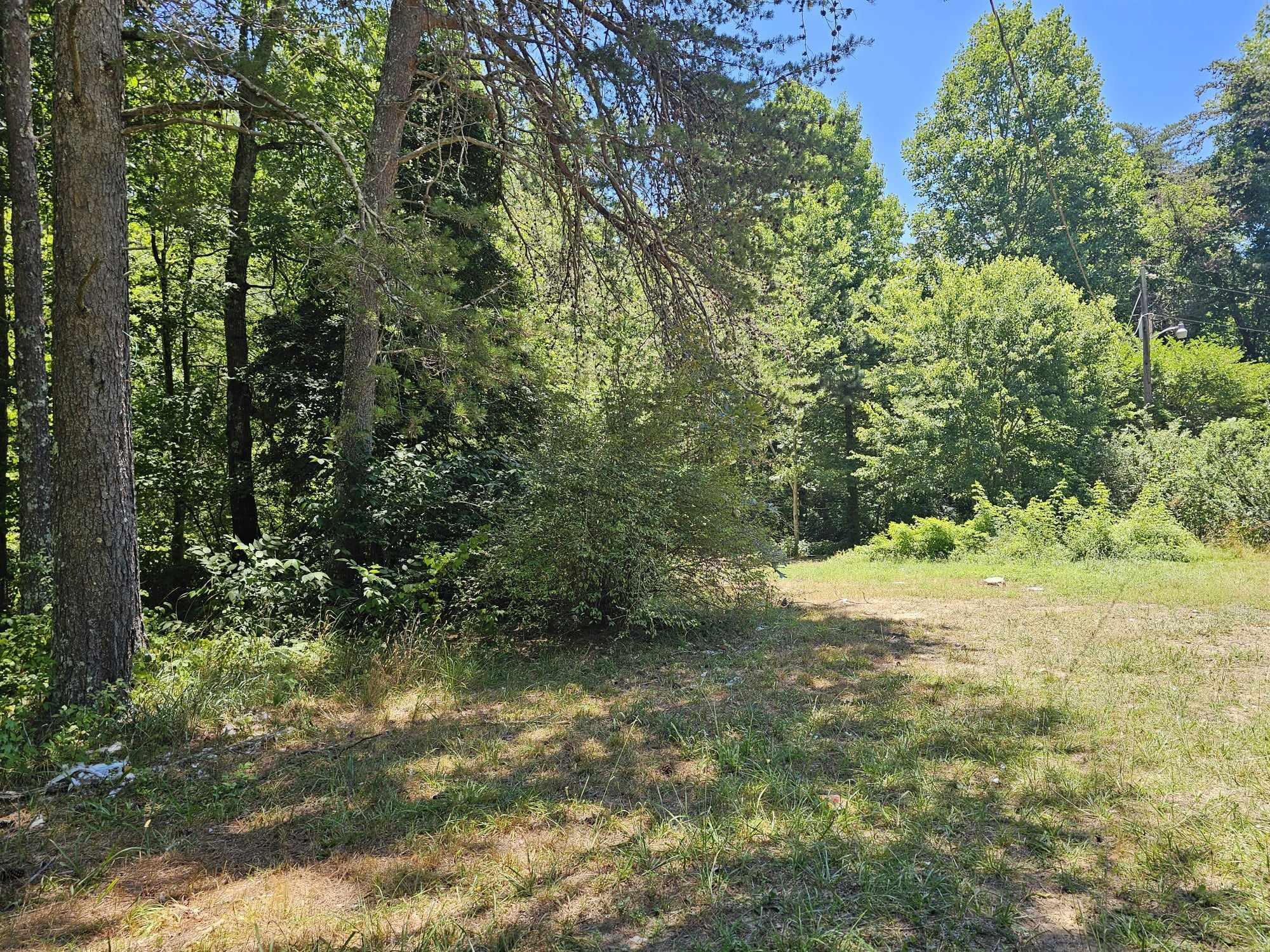 1447 Co Road Mentone, AL 35984 - Photo 18 of 22 449676348_793681146284541_87364627937770