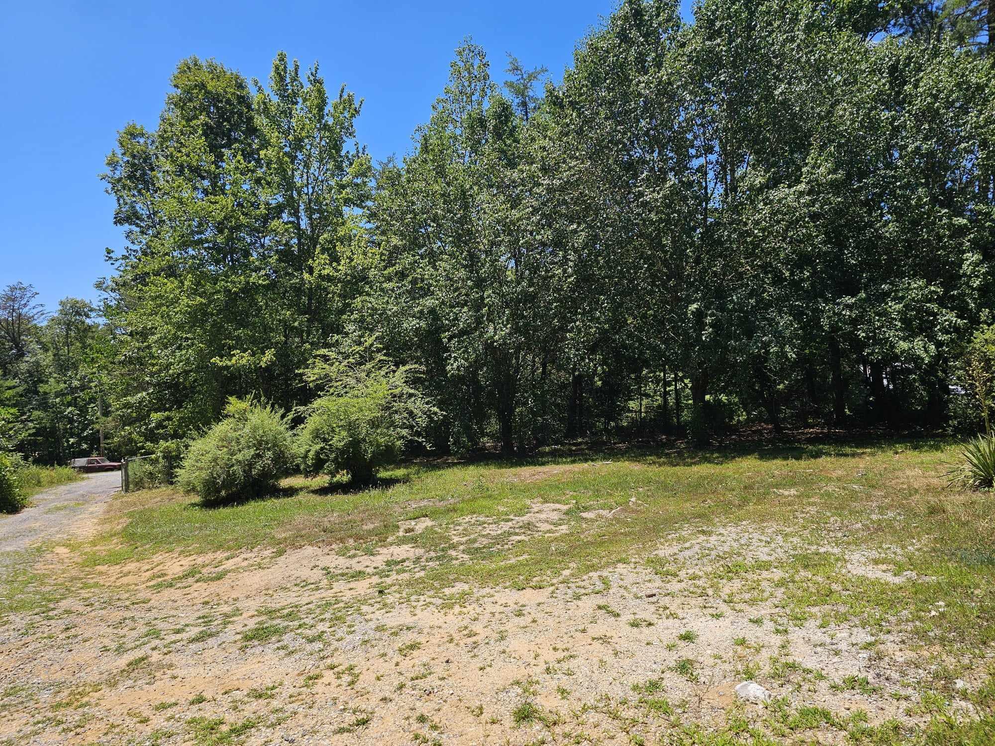1447 Co Road Mentone, AL 35984 - Photo 20 of 22 449766222_471857608771577_35358481917650