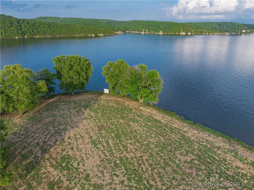 Lot 3 Bollinger Creek Road Climax Springs, MO 65324 - Photo 20 of 20
