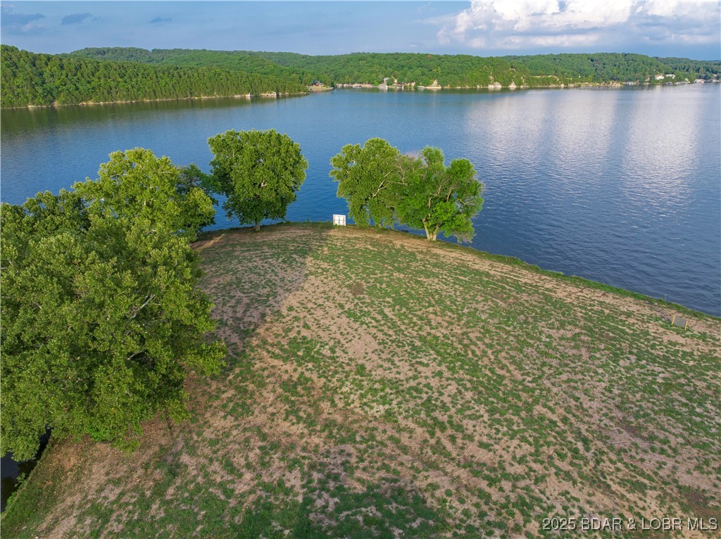 Lot 3 Bollinger Creek Road Climax Springs, MO 65324 - Photo 9 of 20