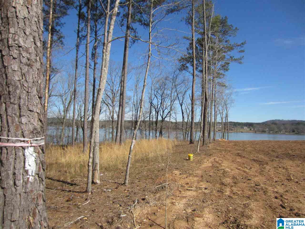 0 Timber Trail, Unit 28 Sylacauga, AL 35151 - Photo 4 of 22