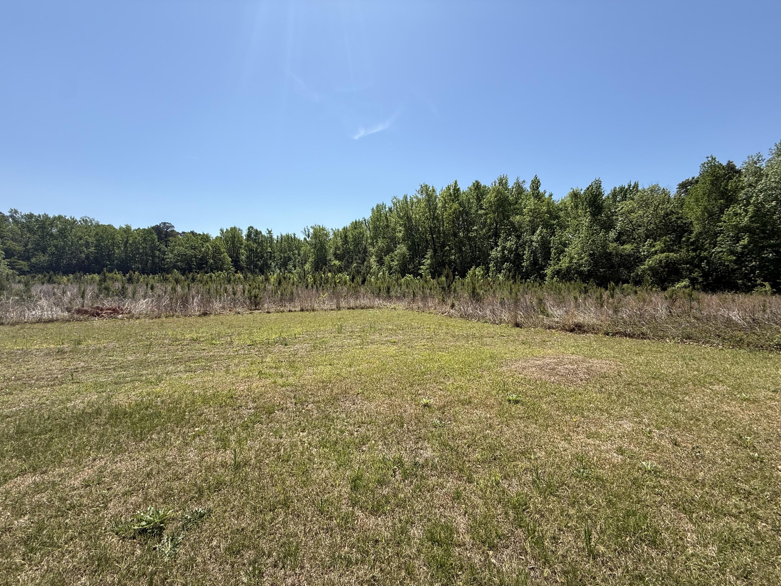 734 Foxboro Road Marion, SC 29571 - Photo 26 of 38 IMG_1297