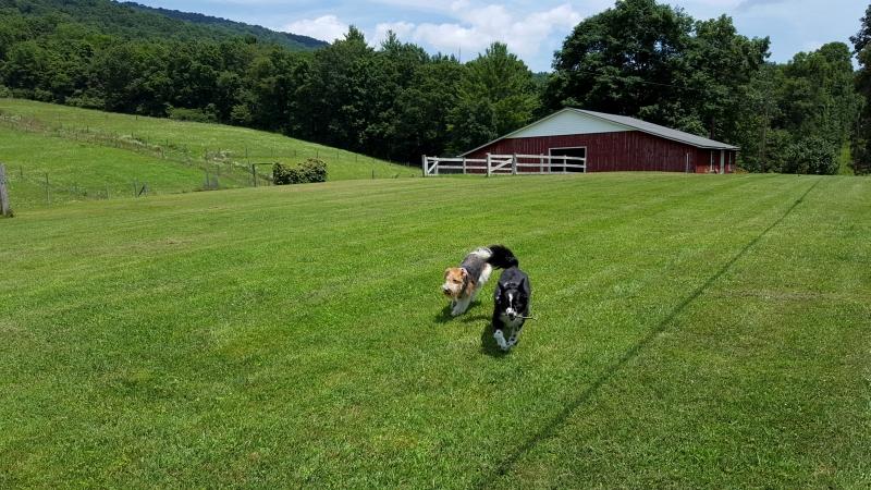 2271 Julia Road Renick, WV 24966 - Photo 78 of 79 Gallery Image 78