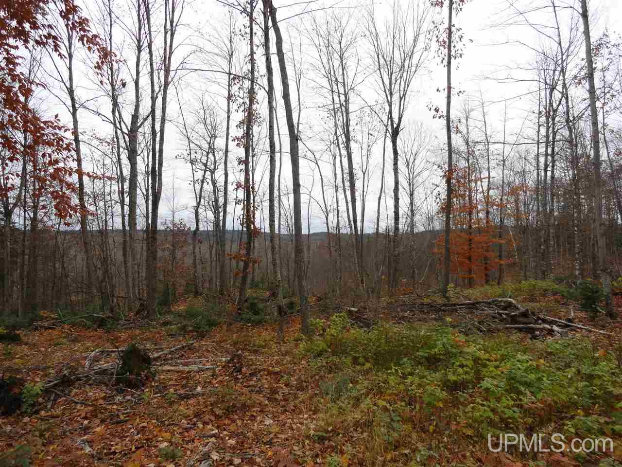 80-acres Co Rd Gga (aka Red Road Champion, MI 49849 - Photo 18 of 26