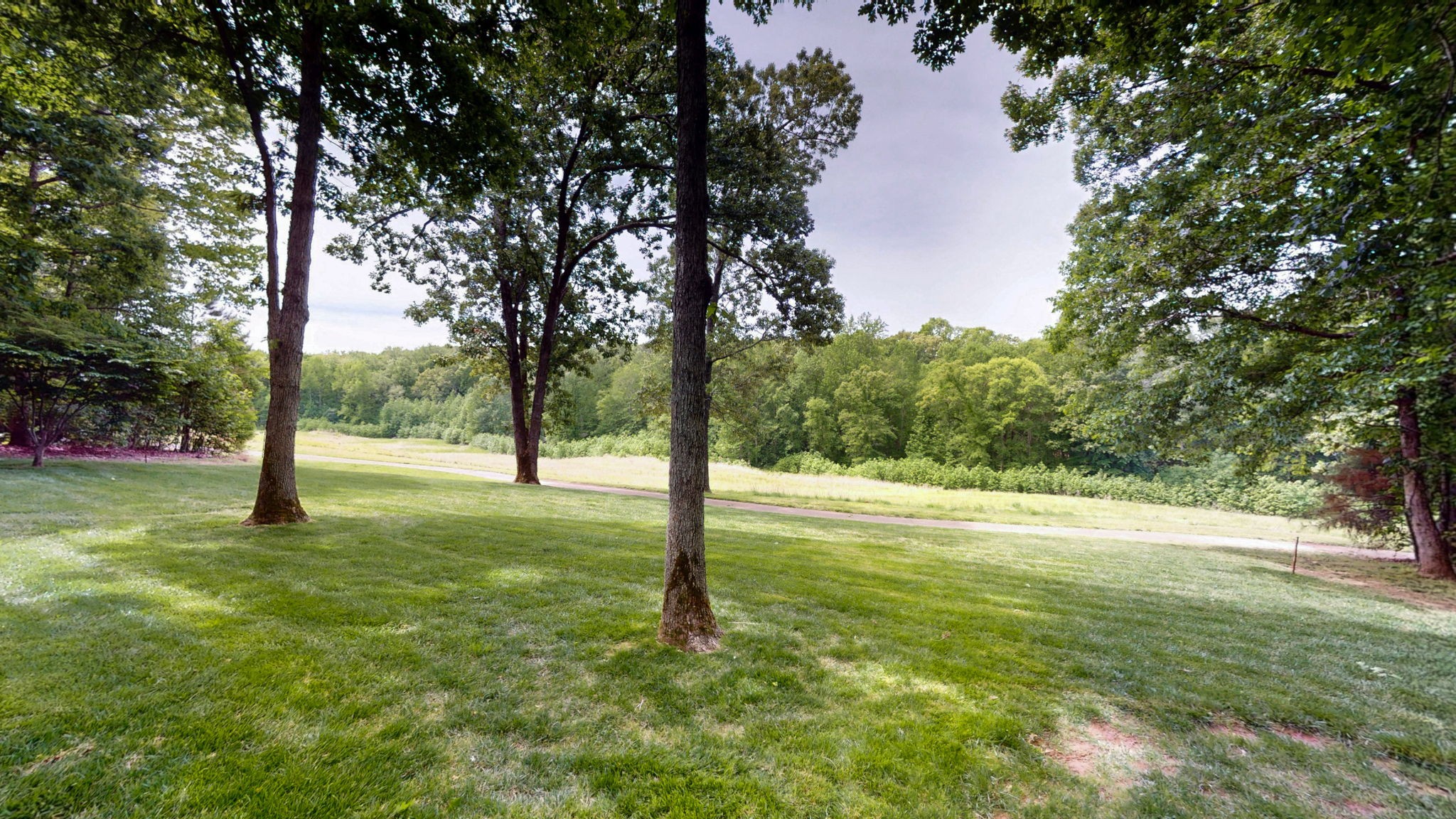 409 Legends Drive Springville, TN 38256 - Photo 41 of 51 a view of a trees with a yard