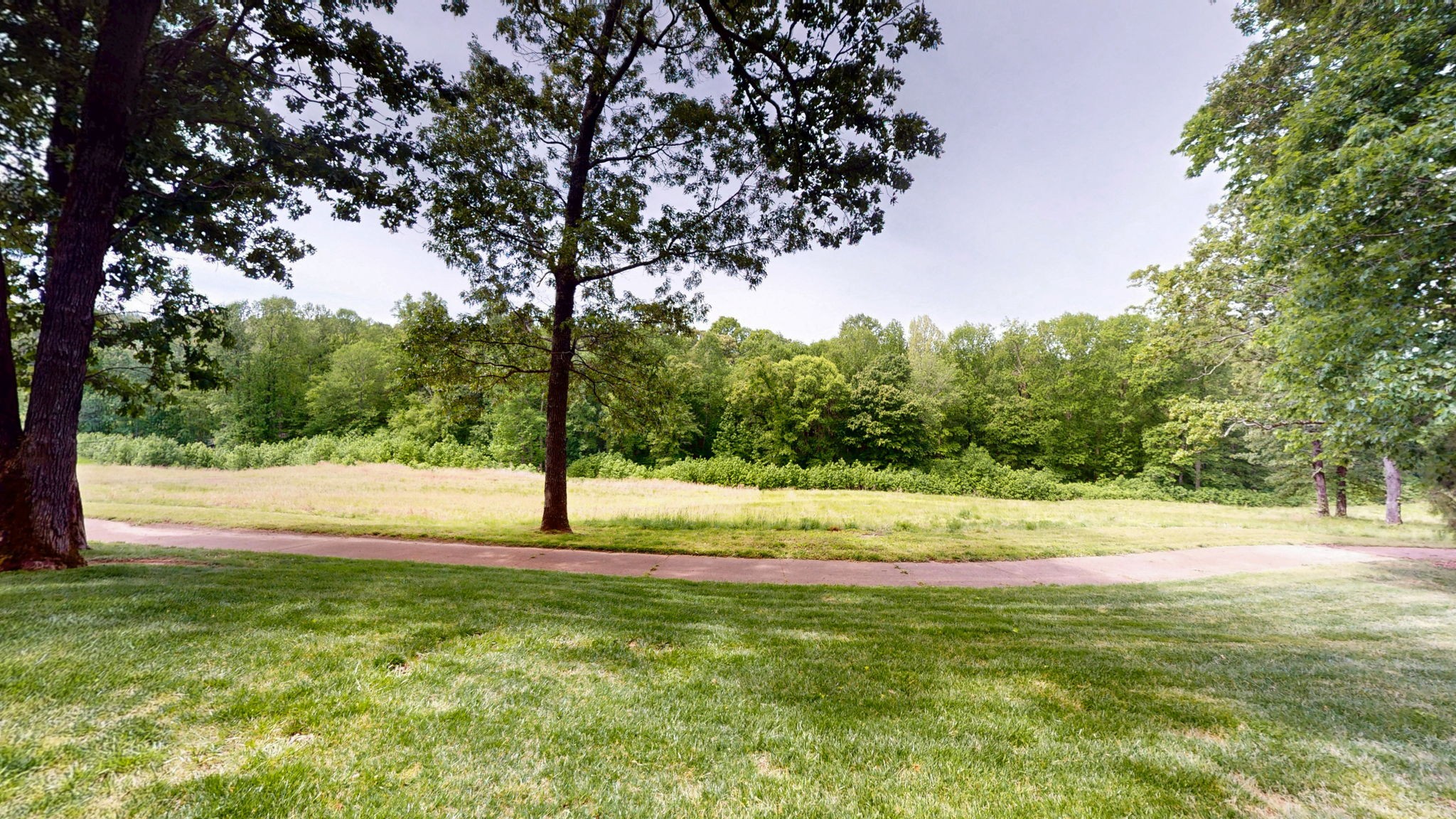 409 Legends Drive Springville, TN 38256 - Photo 42 of 51 a view of grassy field with trees