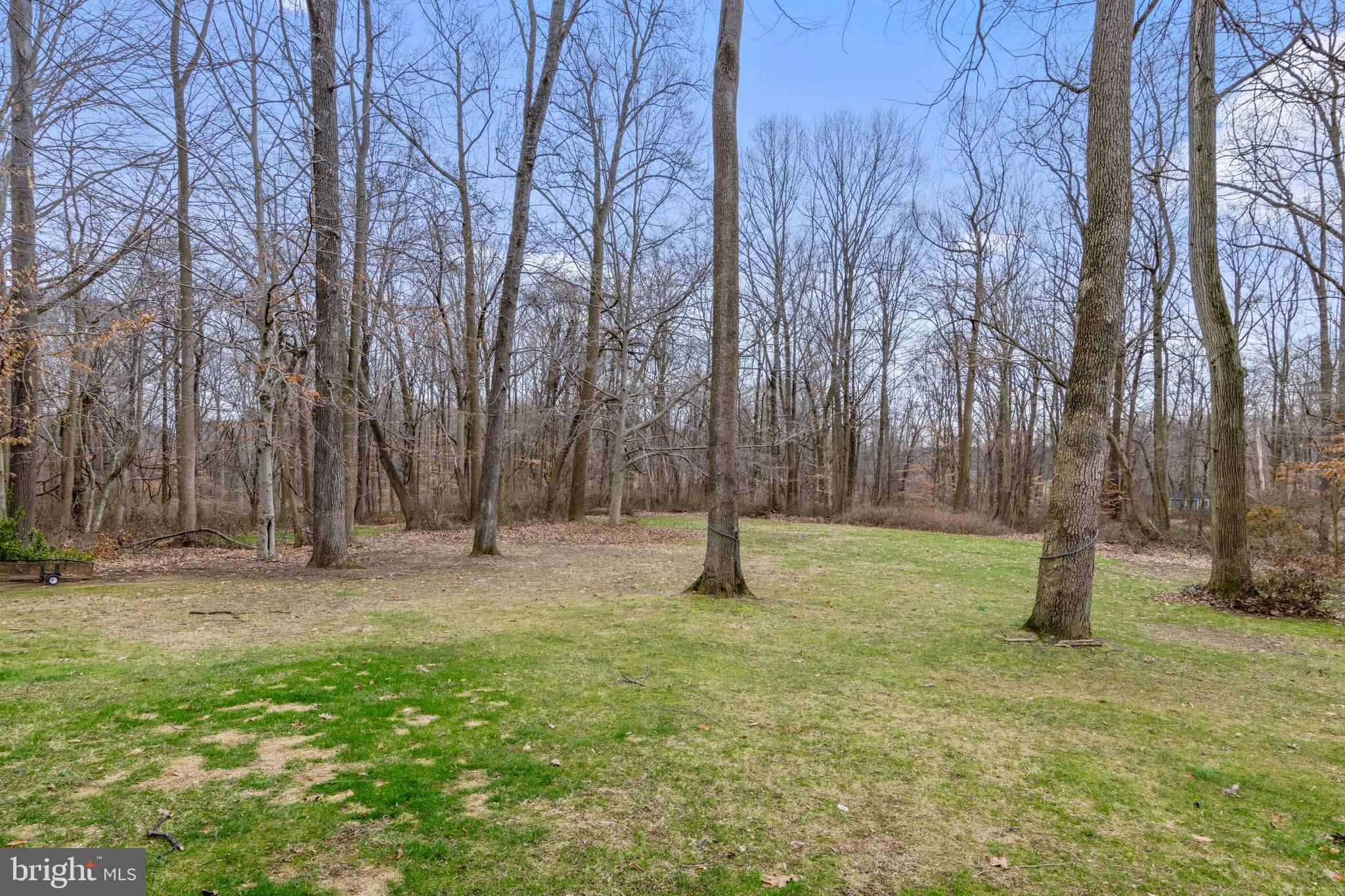 958 Firetower Road Colora, MD 21917 - Photo 34 of 34