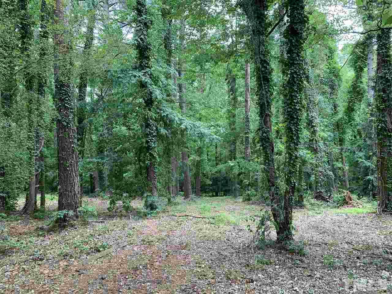 5807 Contour Drive Raleigh, NC 27612 - Photo 1 of 5
