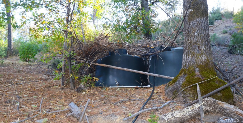 15667 17 N 11 Road Upper Lake, CA 95485 - Photo 11 of 19 a view of outdoor space and yard