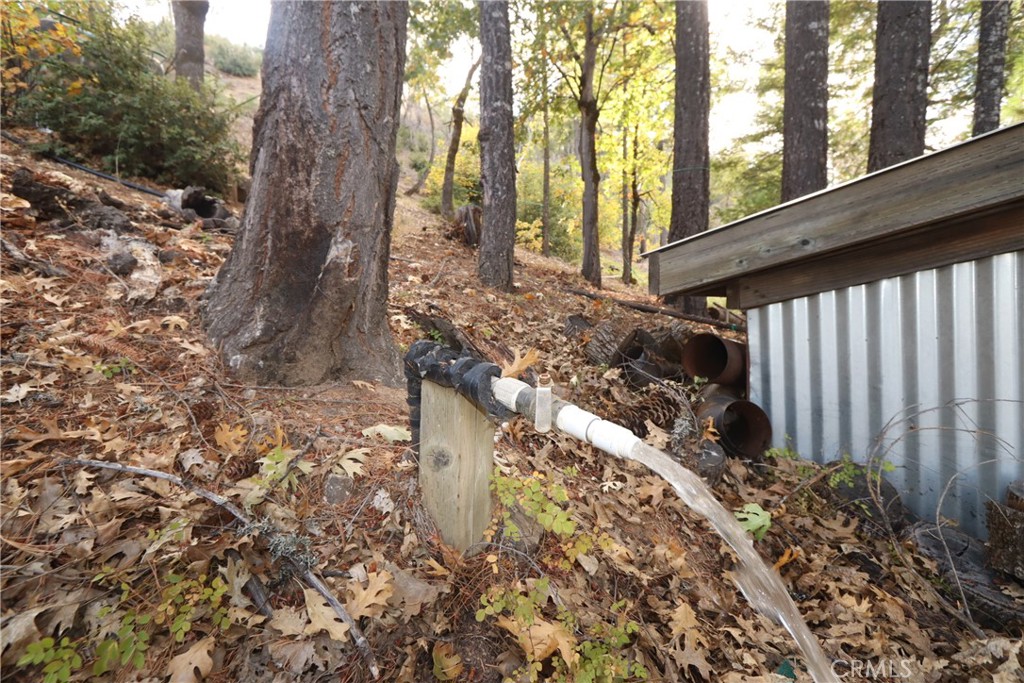 15667 17 N 11 Road Upper Lake, CA 95485 - Photo 4 of 19 a view of a yard with plants and large trees