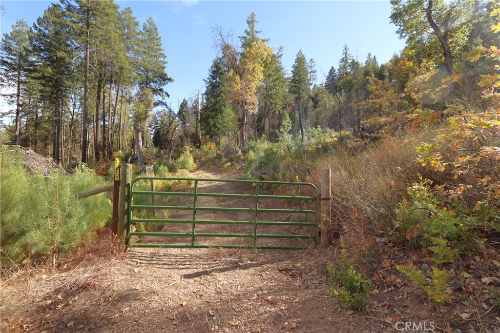 15667 17 N 11 Road Upper Lake, CA 95485 - Photo 8 of 19 a view of outdoor space and yard
