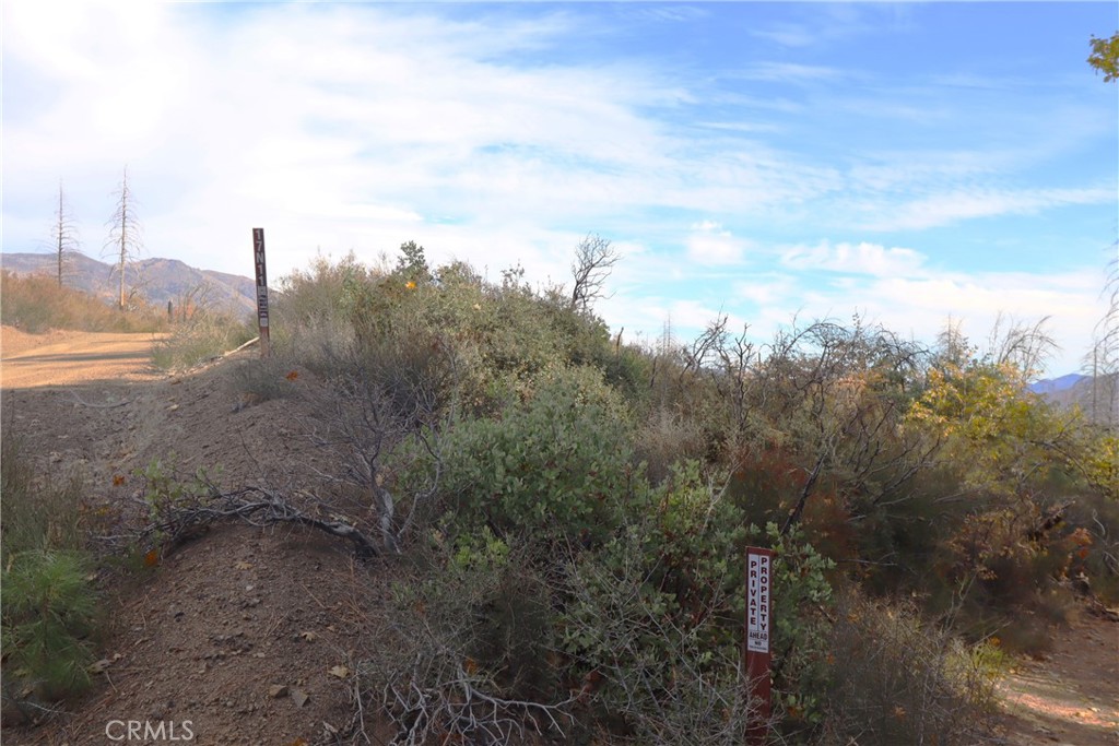 15667 17 N 11 Road Upper Lake, CA 95485 - Photo 9 of 19 a view of a dry yard with lots of trees