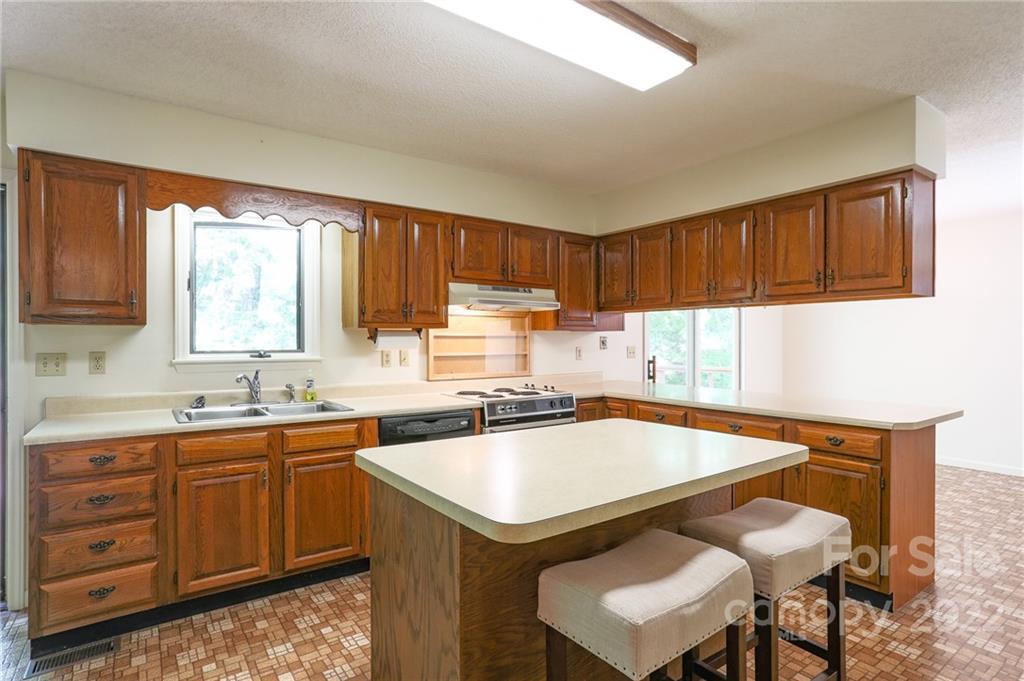285 Mockingbird Road Swannanoa, NC 28778 - Photo 5 of 39 Gallery Image 5