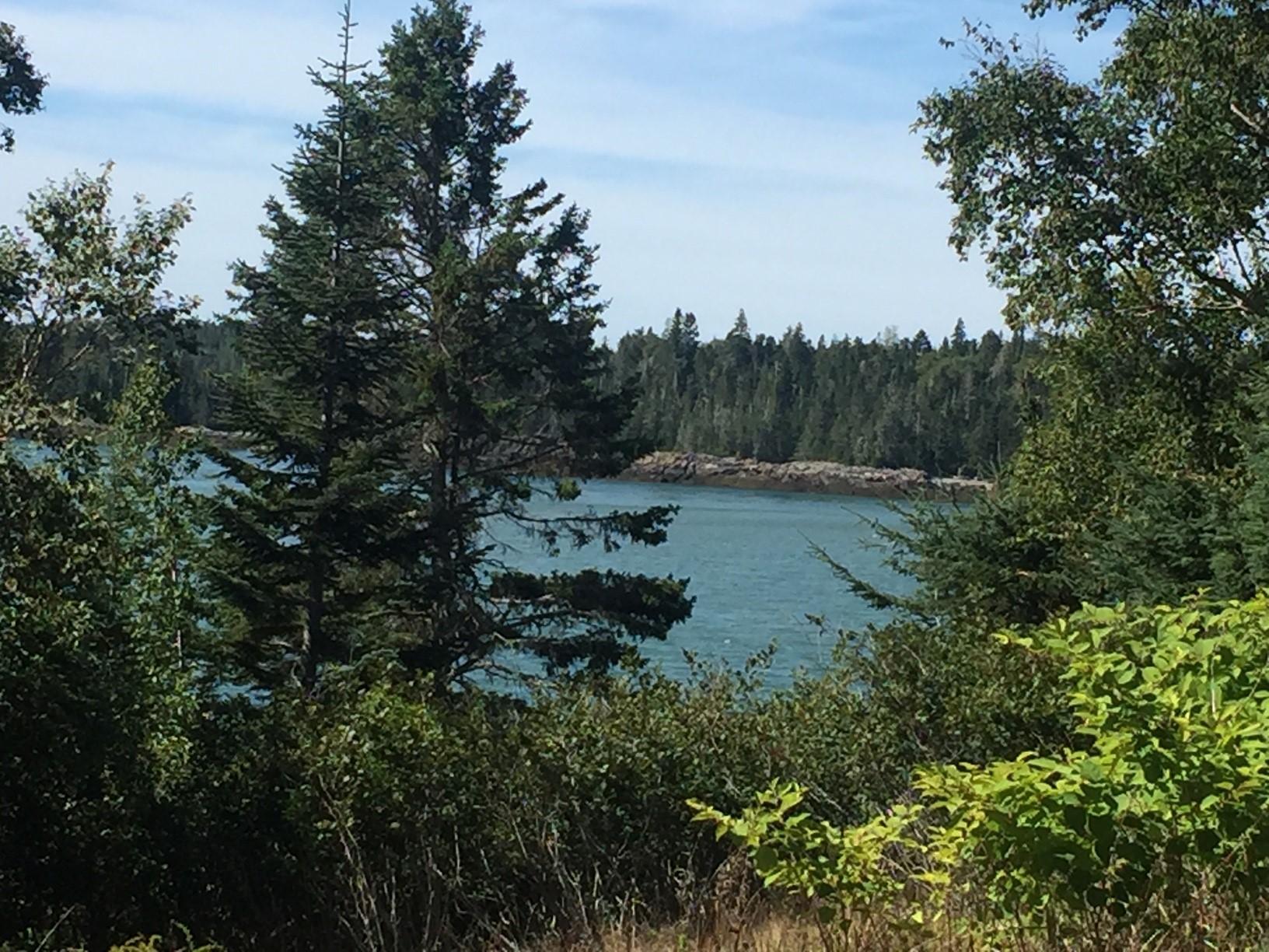 891 Ripley Neck Road Harrington, ME 04643 - Photo 38 of 39 Zoomed Water View from Cottage