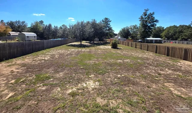 a view of a backyard with a tree