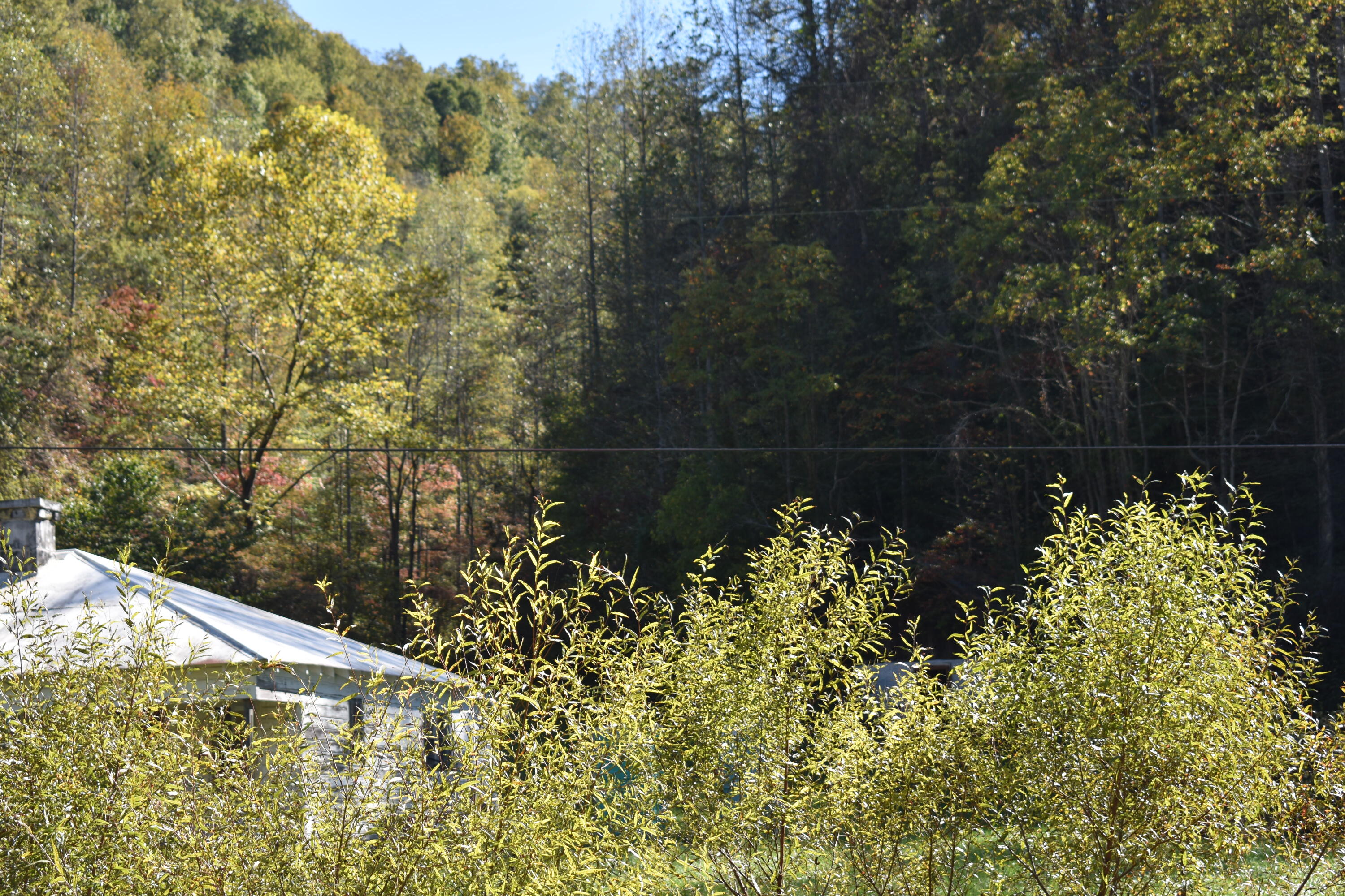 4617 Crane Creek Road Manchester, KY 40962 - Photo 26 of 53 DSC_0545