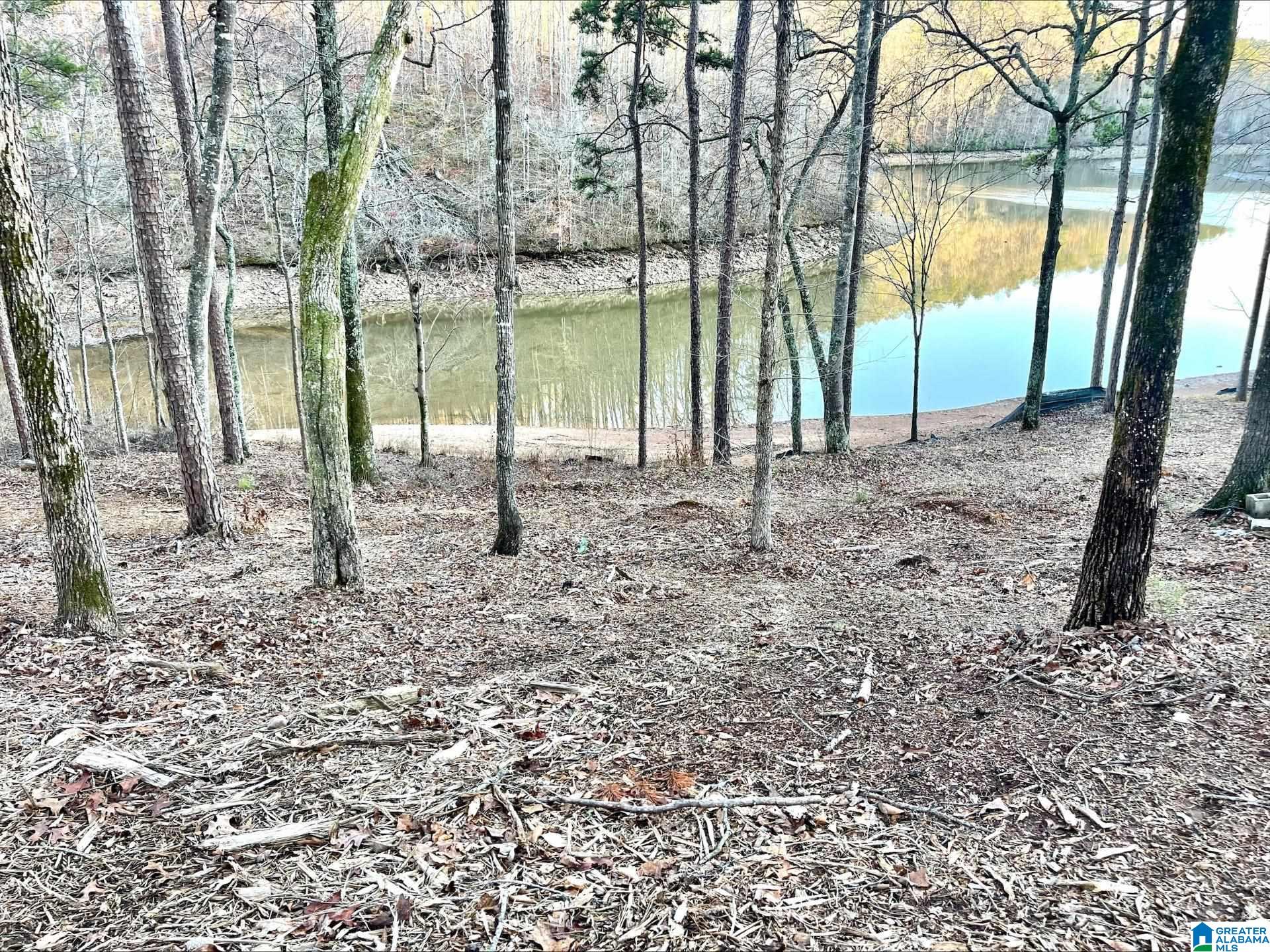 South Shore Drive, Unit 28 Wedowee, AL 36278 - Photo 1 of 4