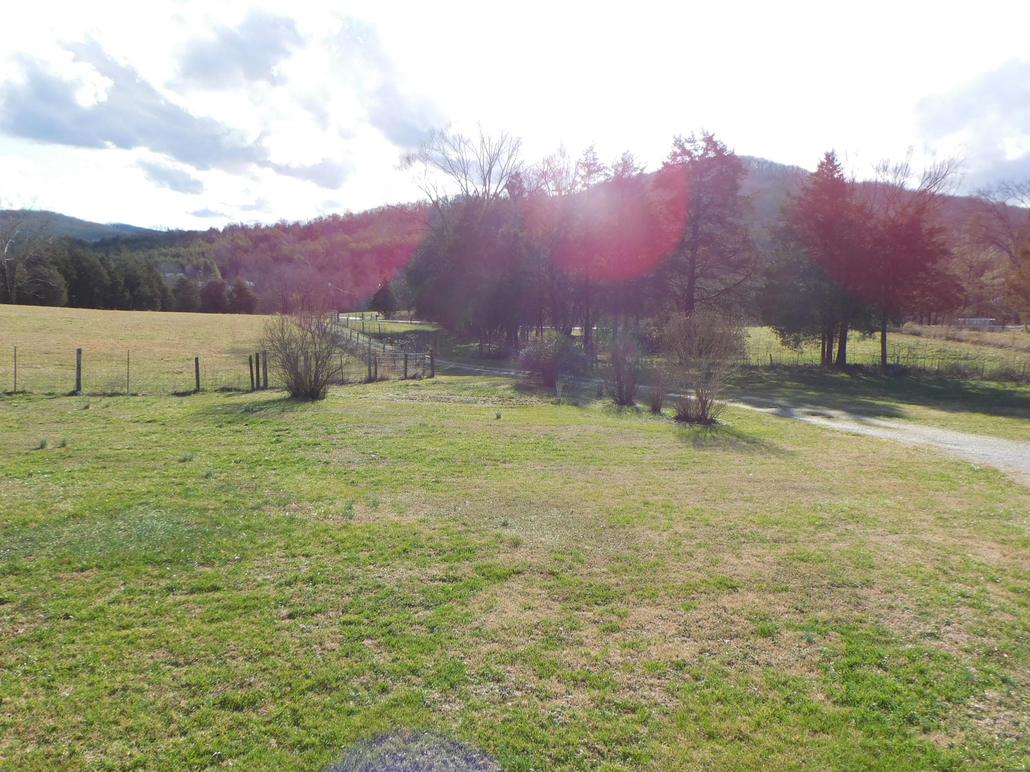 280 Gene Gray Road Monticello, KY 42633 - Photo 61 of 71 DSCI0418