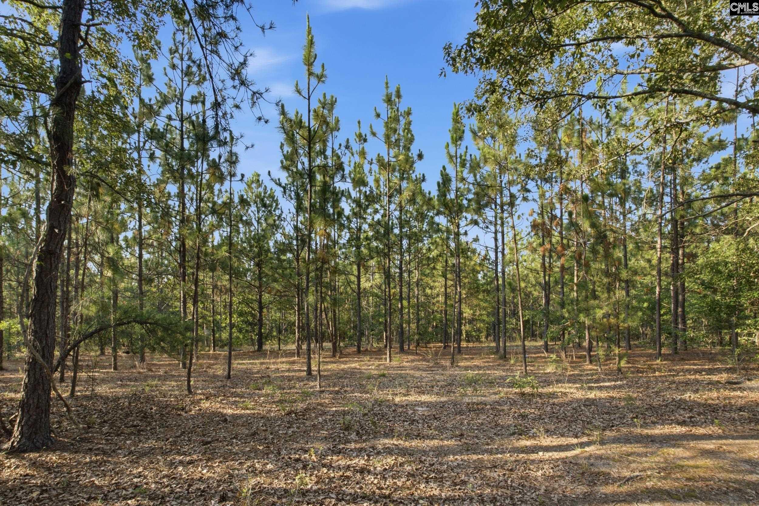 3390 State Rd S-28-496 Kershaw, SC 29067 - Photo 26 of 26