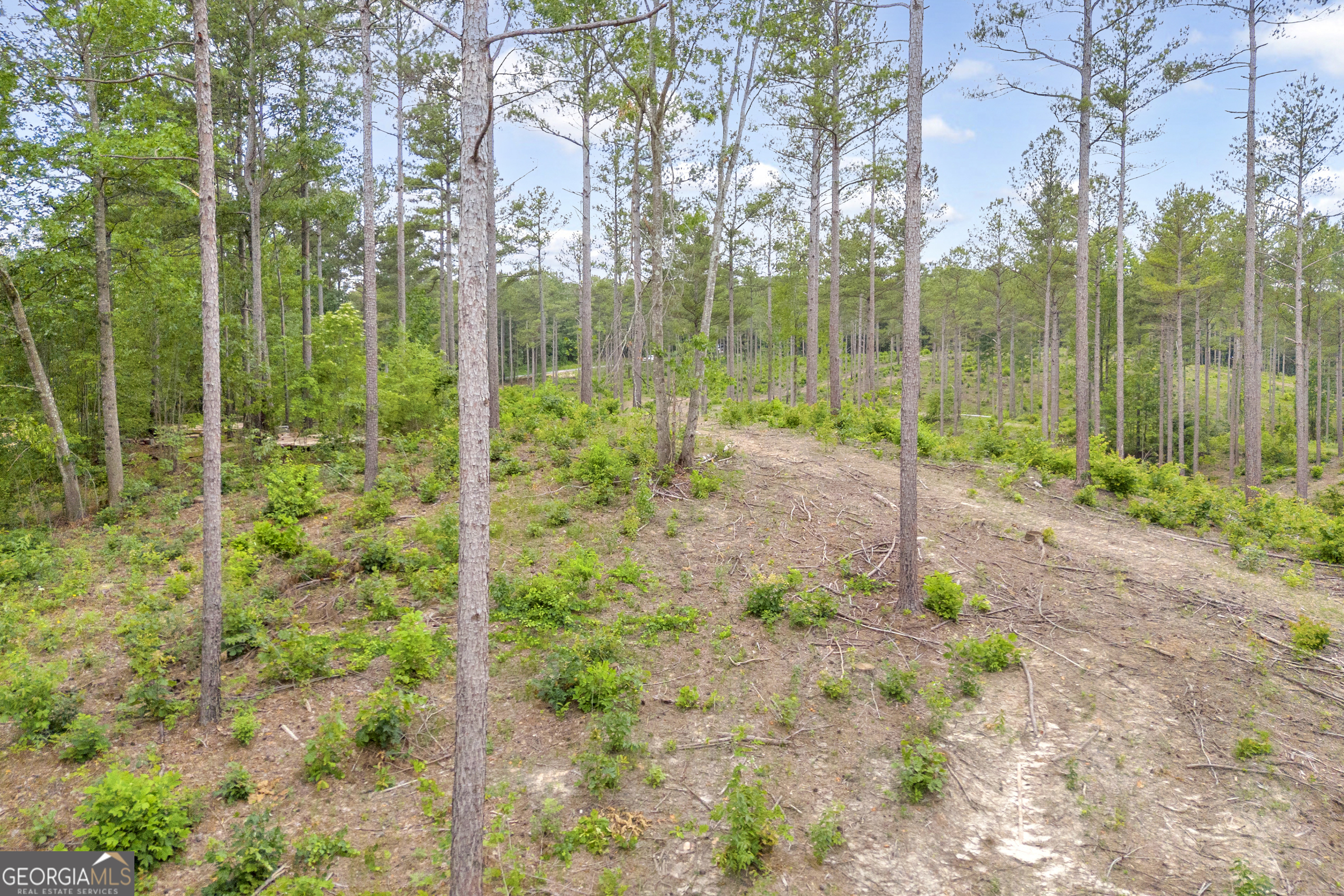 0 Mt Sinai Road, Unit LOT 1 Lula, GA 30554 - Photo 29 of 67