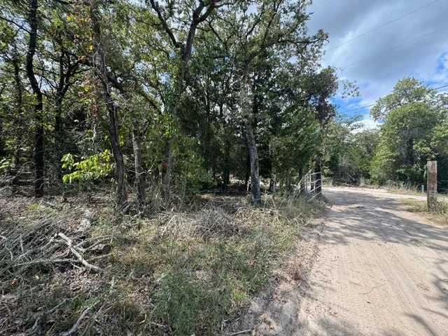a view of outdoor space and trees