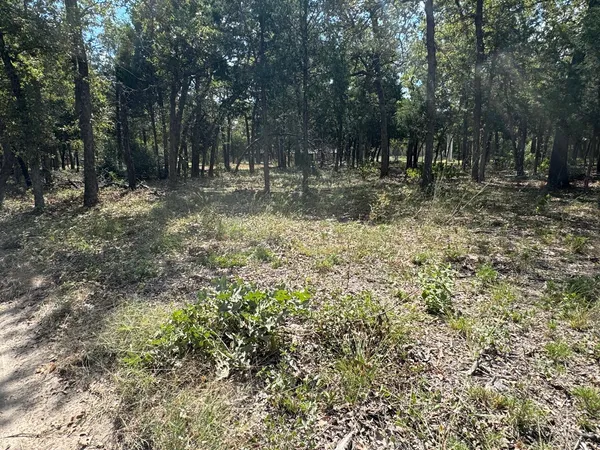 a view of outdoor space with trees all around