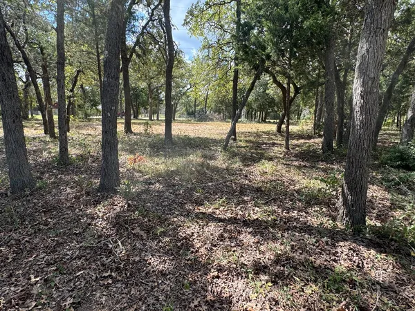 a view of outdoor space with lots of trees
