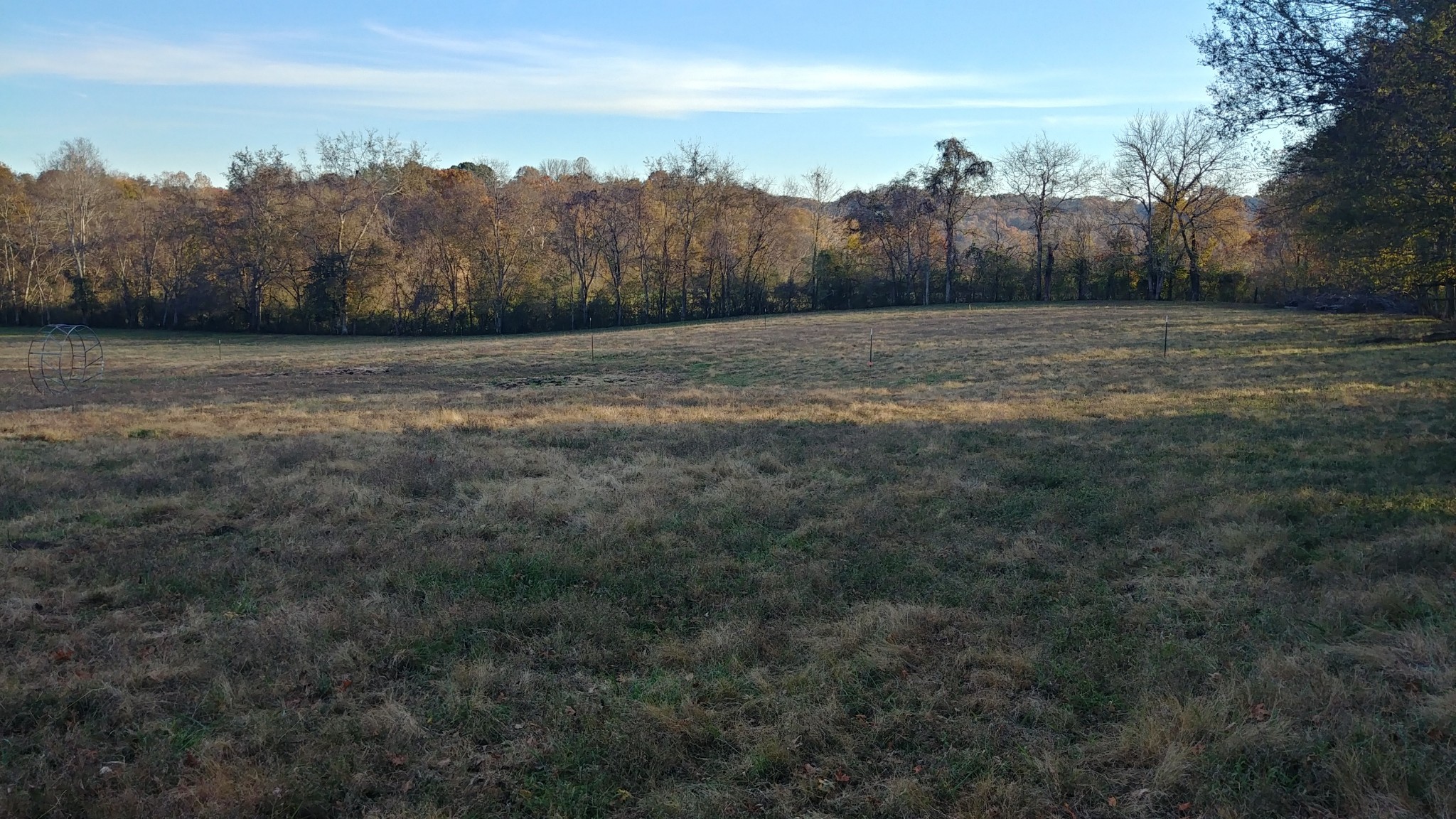2755 Water Valley Road Santa Fe, TN 38482 - Photo 13 of 18 a view of a field with trees in the background