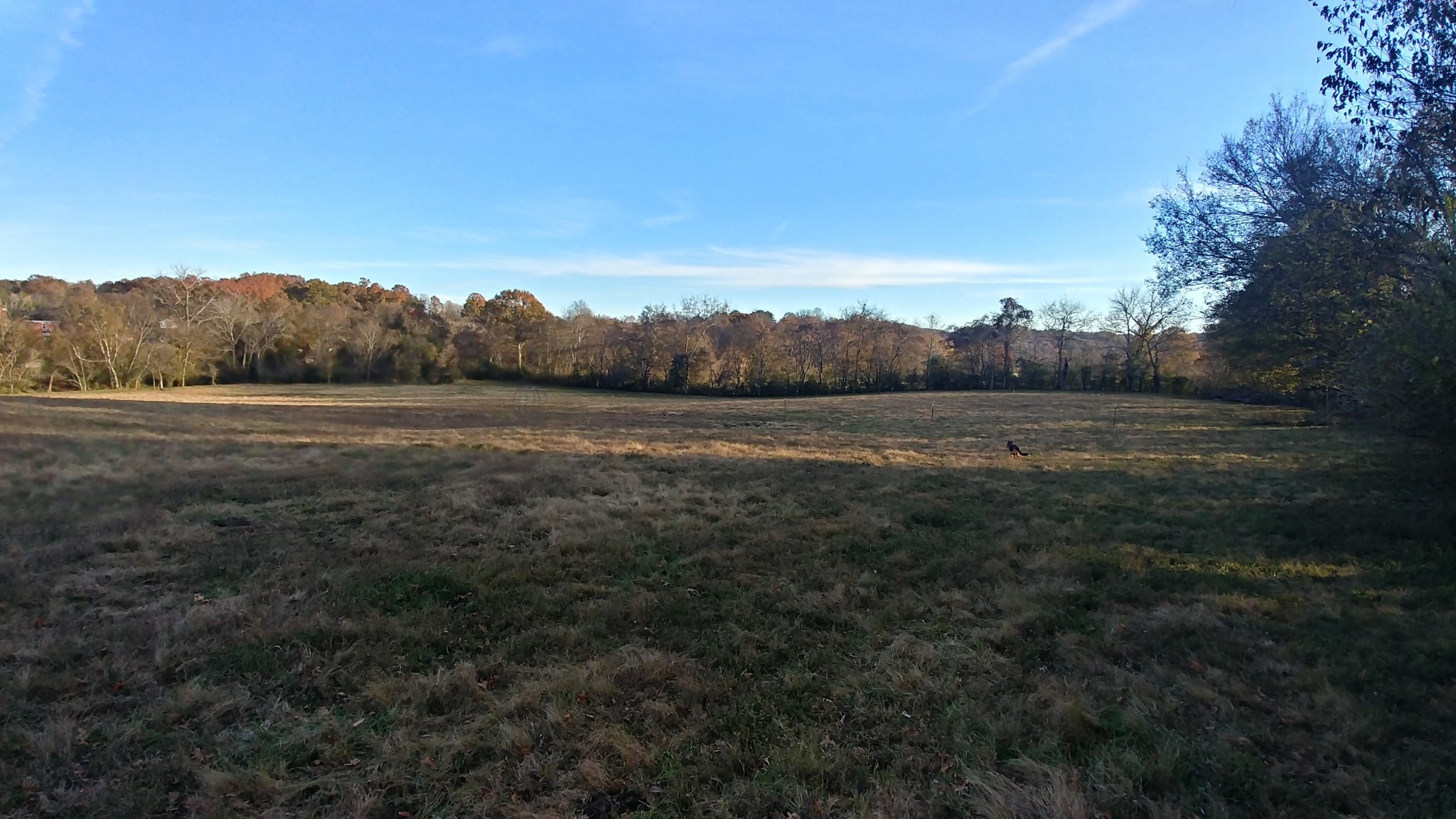 2755 Water Valley Road Santa Fe, TN 38482 - Photo 16 of 18 a view of mountain with lake view