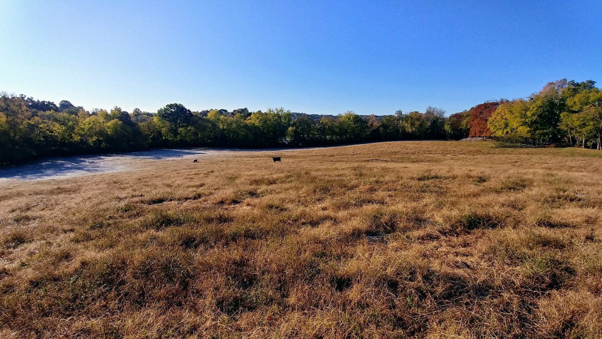 2755 Water Valley Road Santa Fe, TN 38482 - Photo 5 of 18 a view of lake and mountain view