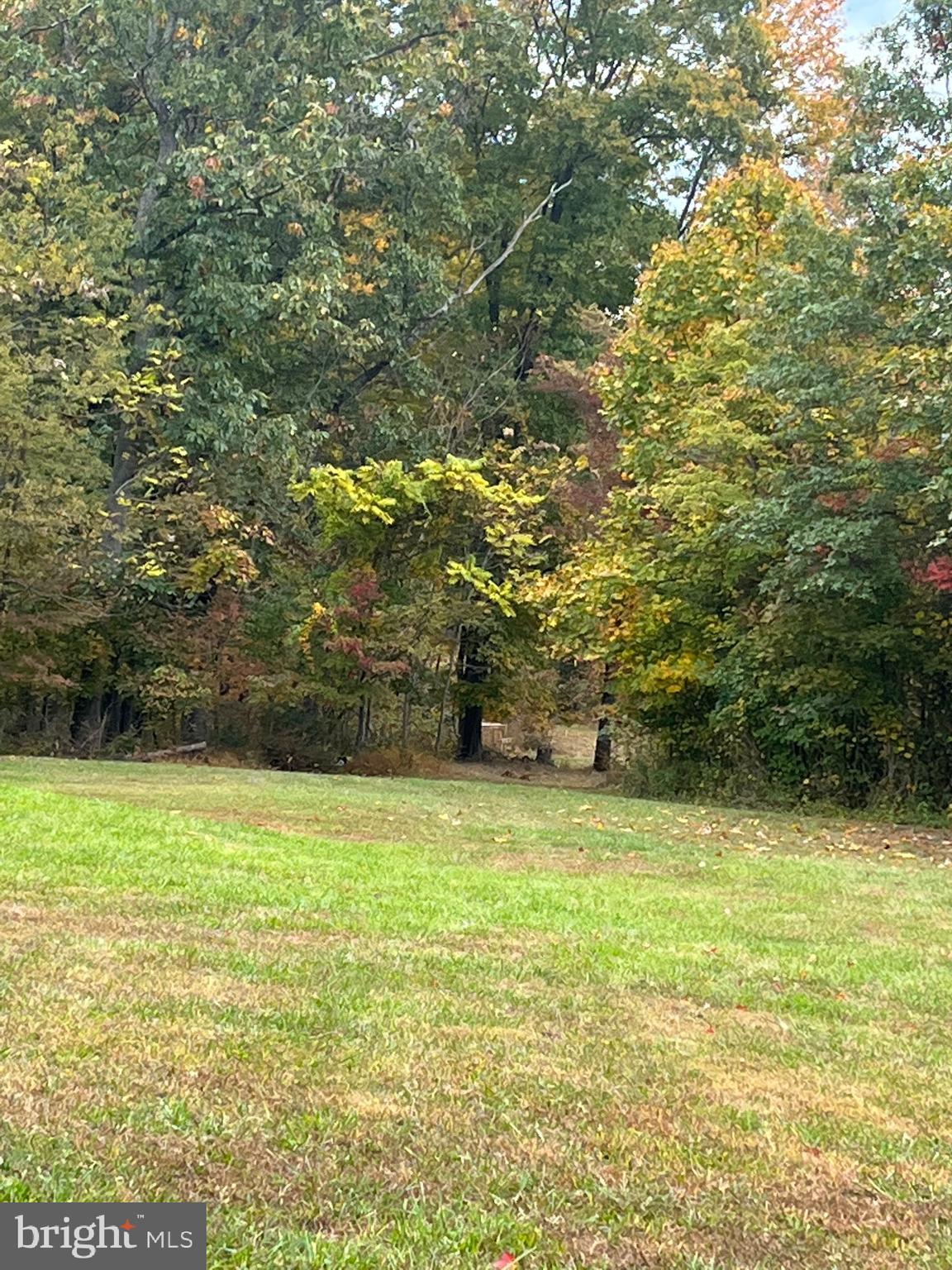 320 Redland Road Cross Junction, VA 22625 - Photo 54 of 62