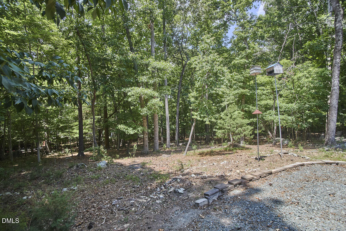309 Blueridge Road Carrboro, NC 27510 - Photo 49 of 63 032