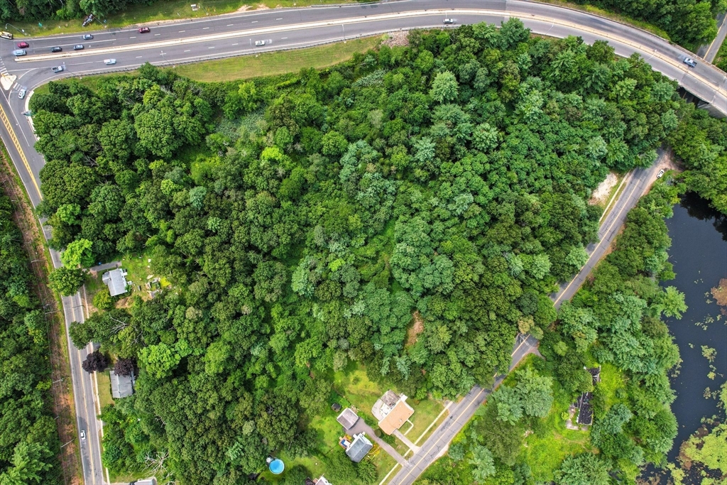 a view of a yard with plants