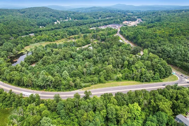 a view of a lush green forest with a lush green forest